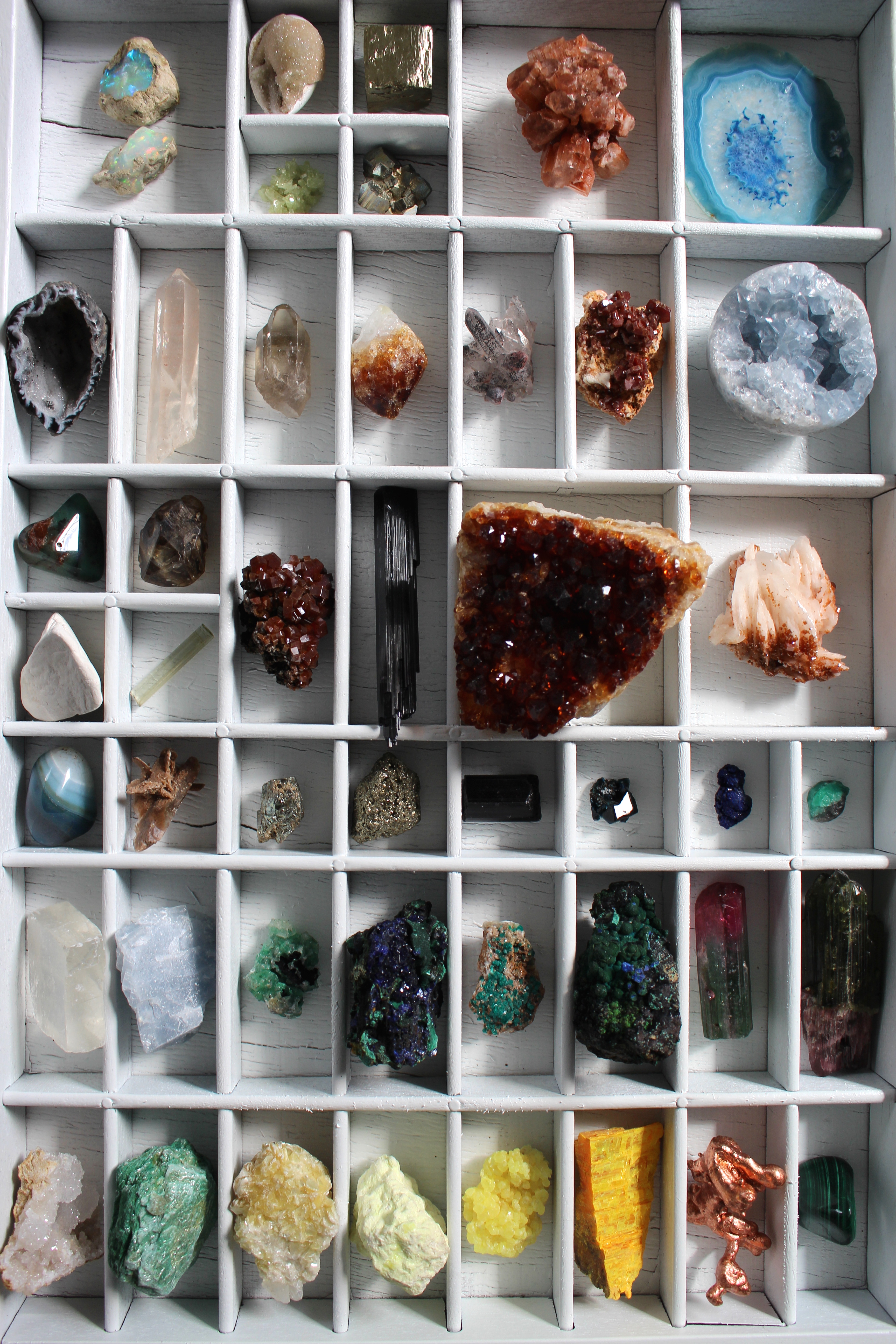 Fossil Educational Natural Rock Gemstone & Mineral Specimens for The Classroom Jewels in The Rough Set #1 Fantasia Boxed Collection: Natural Gemstone Collection in Presentation Case 